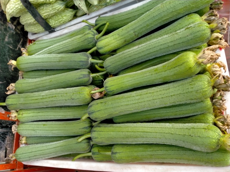 肉丝瓜