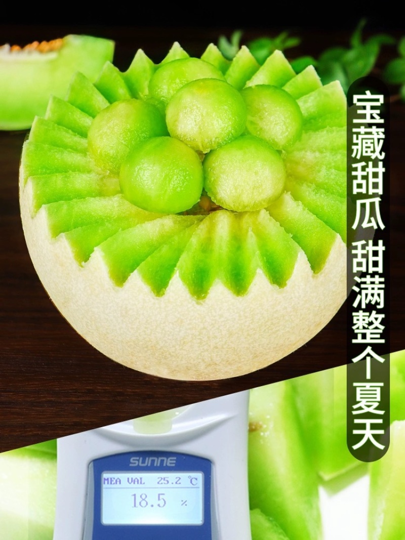 【精品】河南玉菇甜瓜，万亩基地，对接电商市场商超，欢迎选购