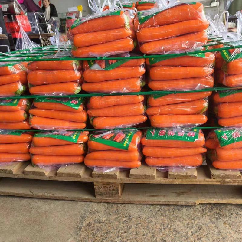 【规格齐全】开封胡萝卜，万亩基地，价格优惠，对接商超市场