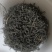 高山绿茶