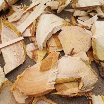正宗穿破石纯根切片一手货源