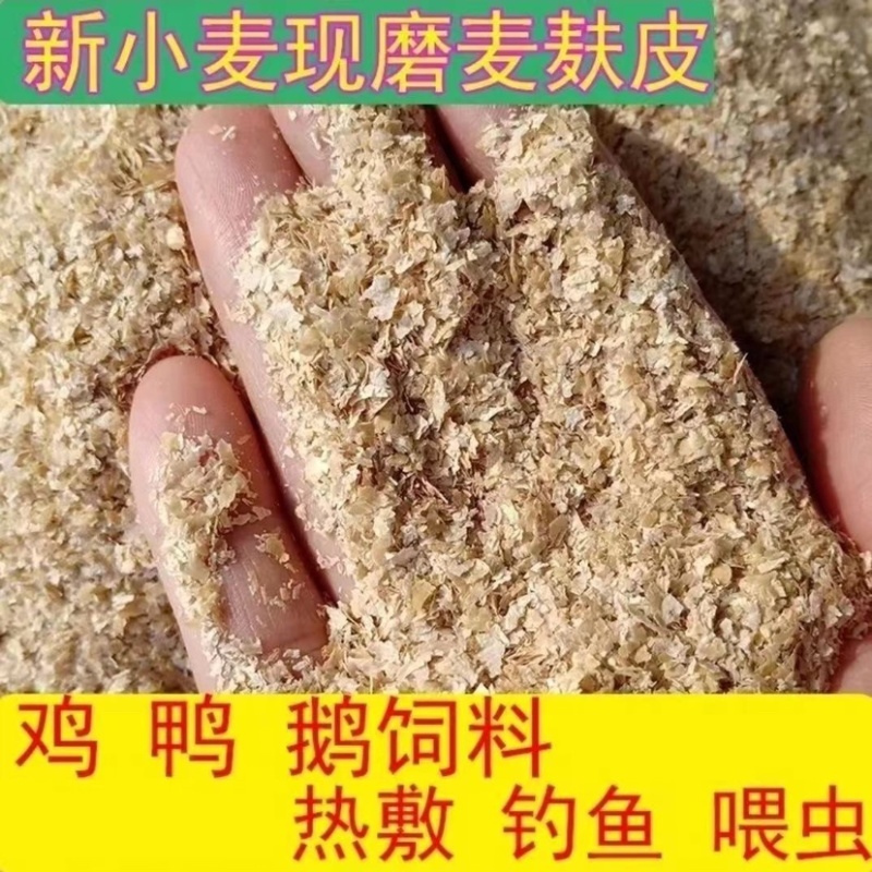 麸皮喂鸭鹅鸟猪牛羊虫小麦麸母鸡产蛋饲料原料厂家直销