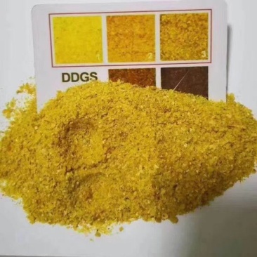 ddgs