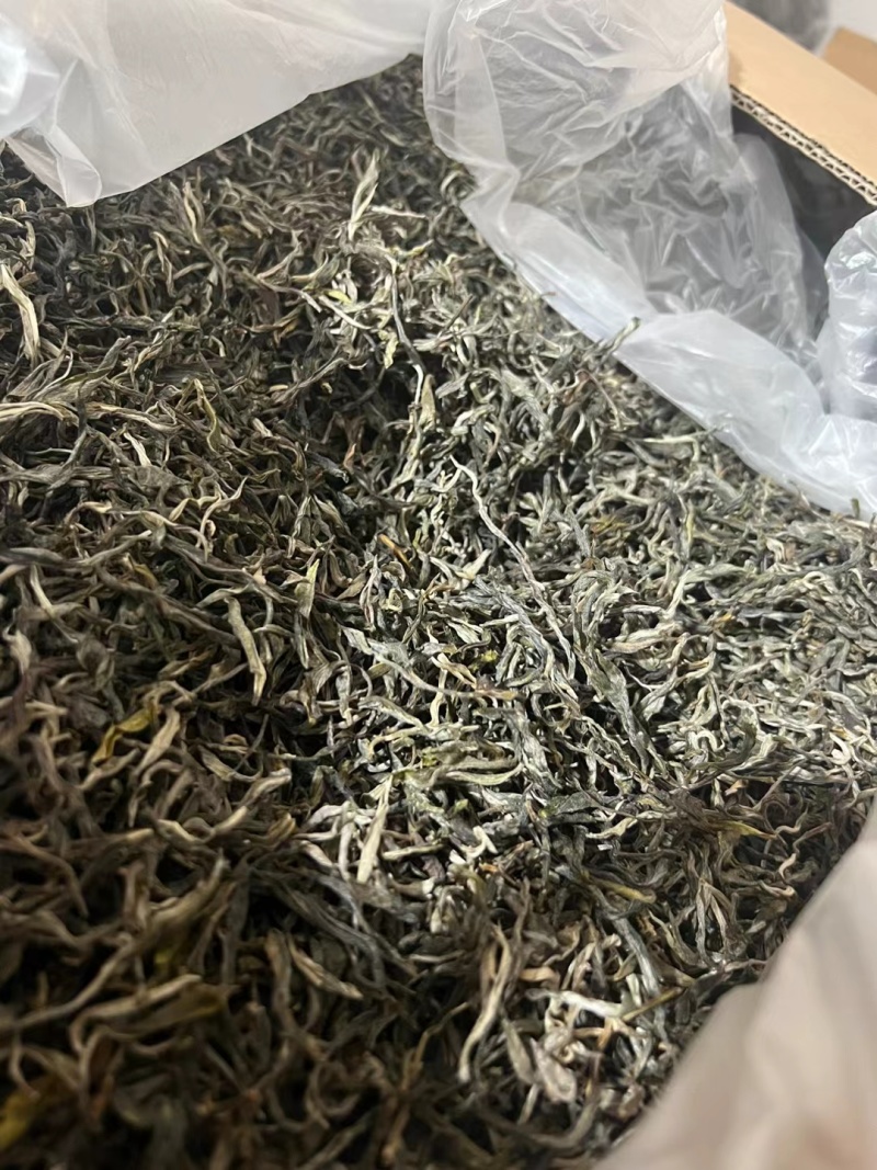 普洱茶散茶古树乔木小树勐海料10公斤起包邮