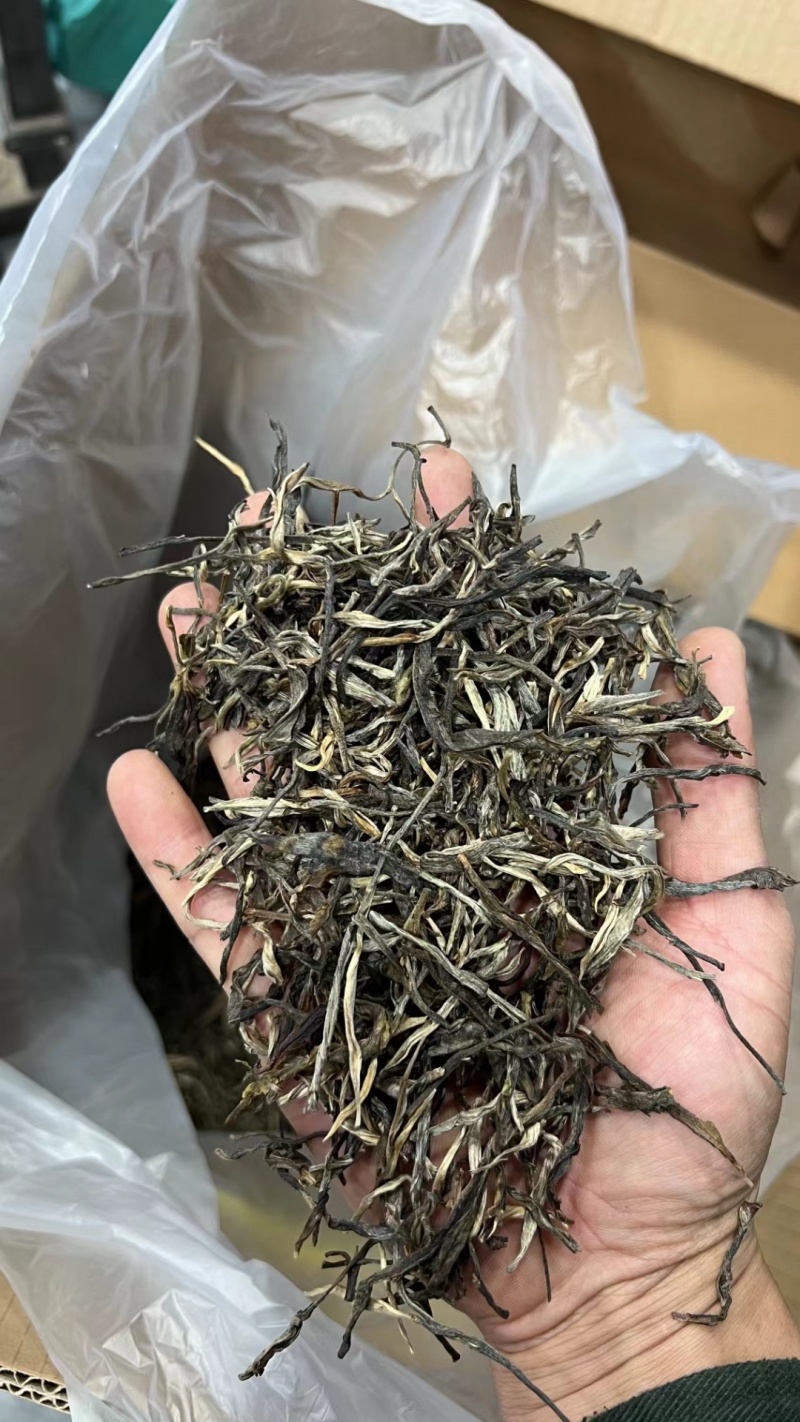 普洱茶散茶古树乔木小树勐海料10公斤起包邮