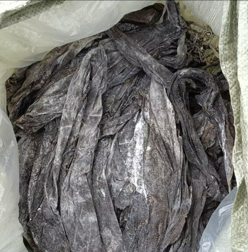 新海带无沙挂菜，自家养殖，支持零售批发