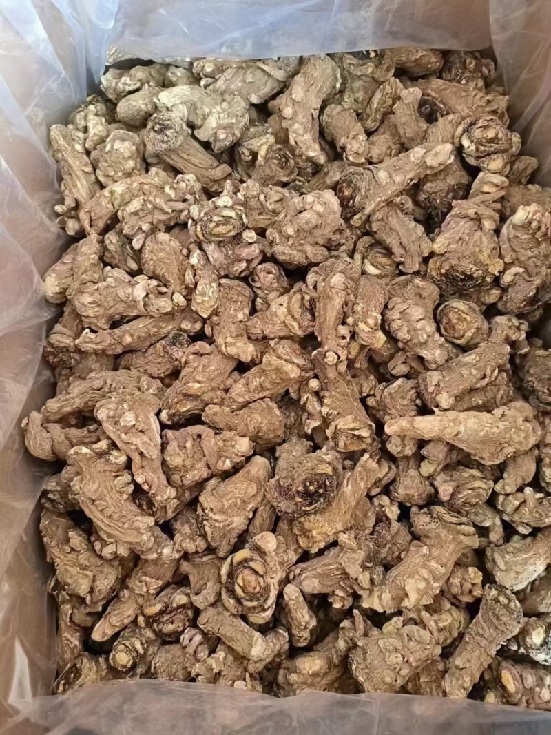 甘肃岷县无硫当归头手选当归产地直供量大从优全国发货