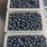 【优选】精品蓝莓，大量上市，产地一手货源，保质保量全国发