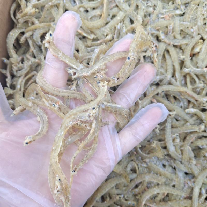 凤尾干鱼山东凤尾鱼干常年供应规格齐全产地直发
