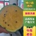 东台特小凤西瓜万亩基地直发，支持商超对接，视频看货，欢迎洽谈