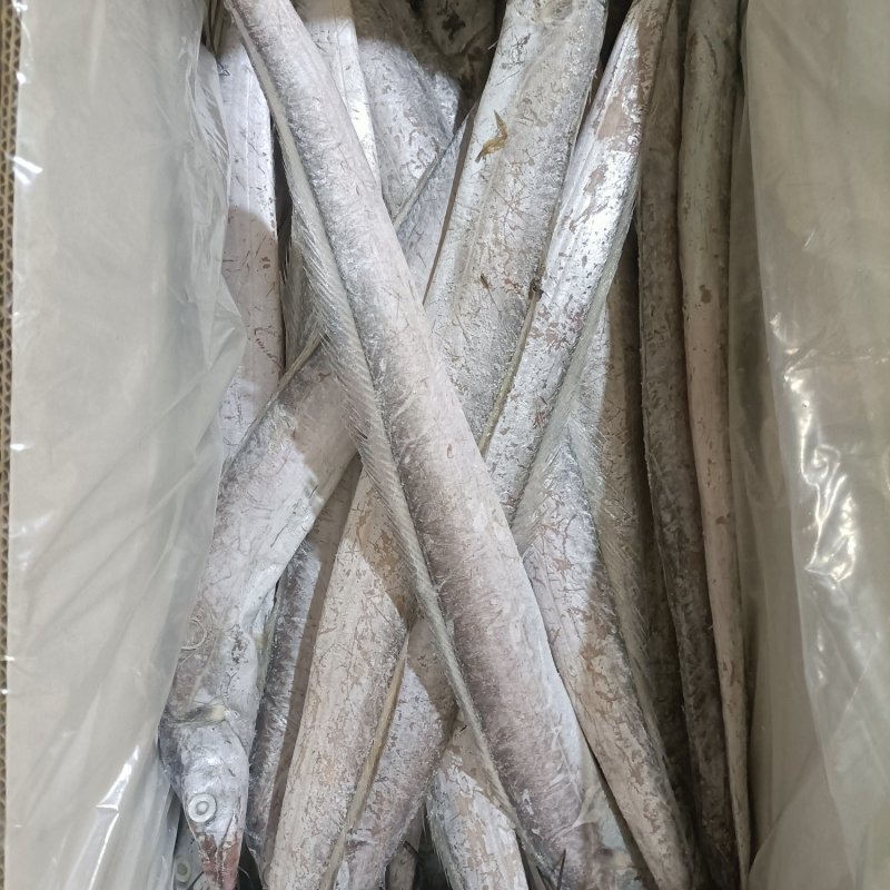 山东精品油带