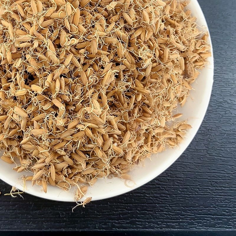稻芽生稻芽保庆药业批发炒稻芽实拍