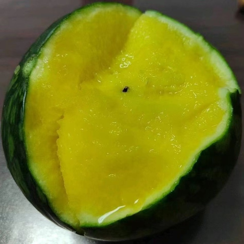 【精品】浙江台州特小凤西瓜黄心薄皮瓜视频看货欢迎来电