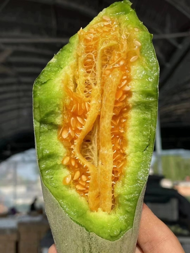 【博洋61】羊角蜜甜瓜，脆甜多汁，产地大量供应，保质保量