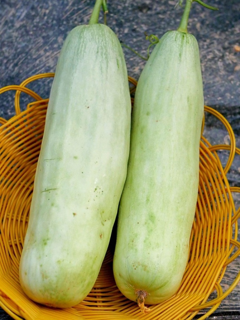 【博洋61】羊角蜜甜瓜，脆甜多汁，产地大量供应，保质保量