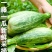 【博洋61】羊角蜜甜瓜，脆甜多汁，产地大量供应，保质保量