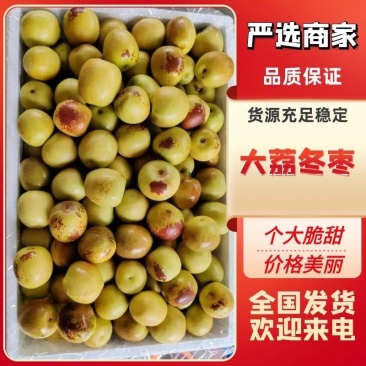 陕西冬枣批发，大荔冬枣产地冬枣口感脆甜，大棚冬枣价格行情