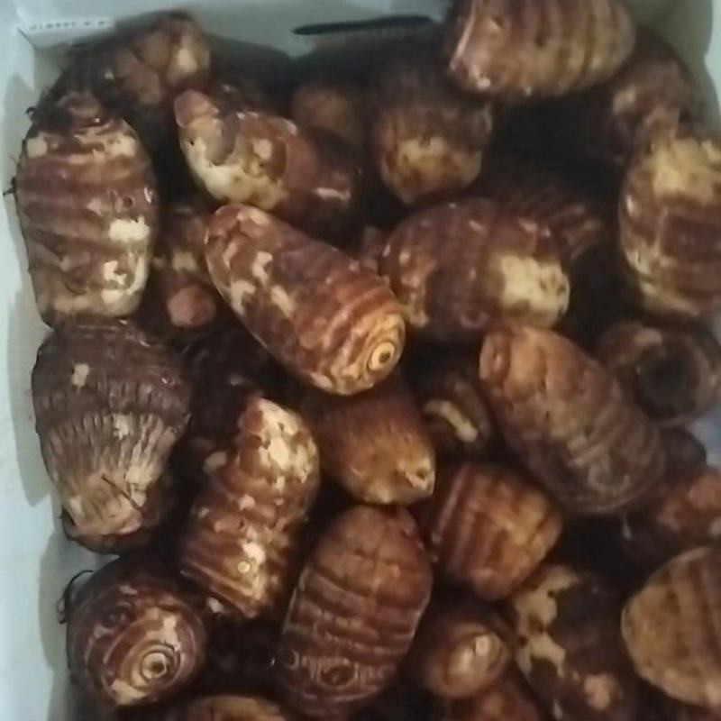精品芋头大量供应全国可发货品质保证诚信经营
