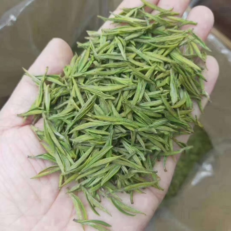 舒城小兰花茶