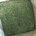 舒城小兰花茶
