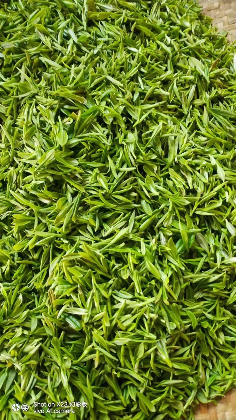 舒城小兰花茶