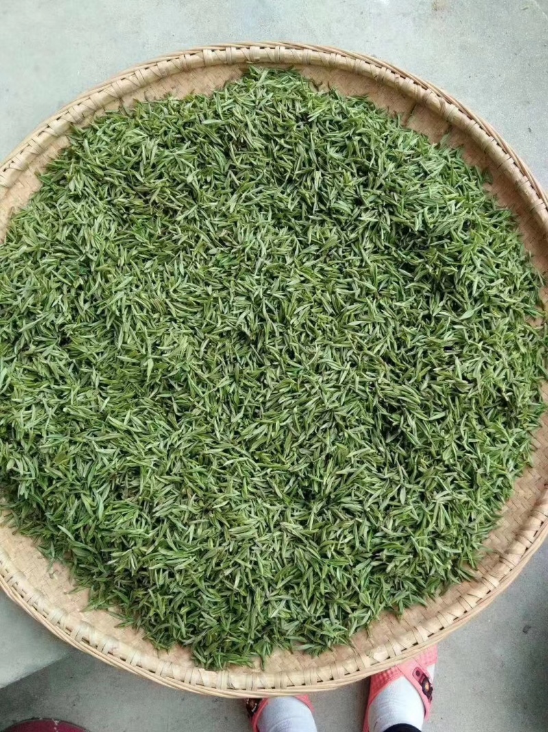 舒城小兰花茶