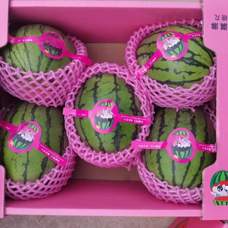 精品砀山小糖丸2k西瓜，大量上市，皮薄口感好，货源充足！