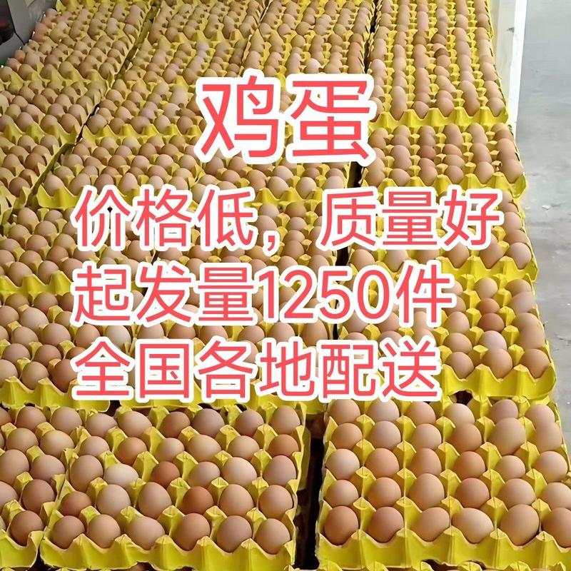优质鸡蛋全国发货