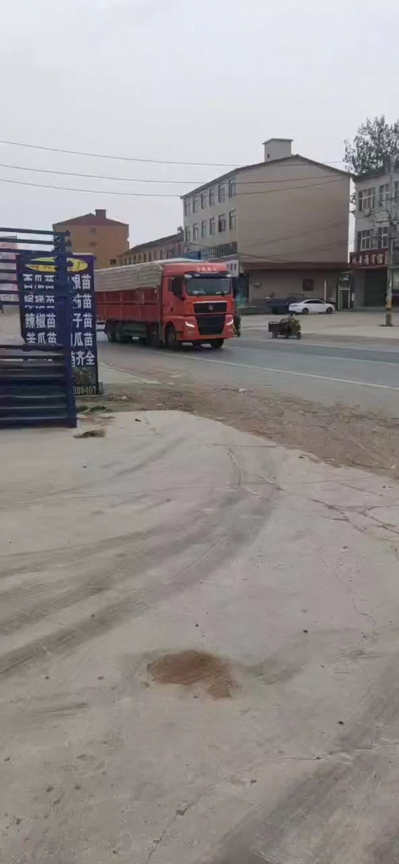 甘肃河南红洋葱产地直发一手货源，欢迎致电