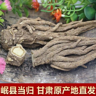 【甘肃岷县发】手选岷当归头片道地药材岷当归多规格可选包邮