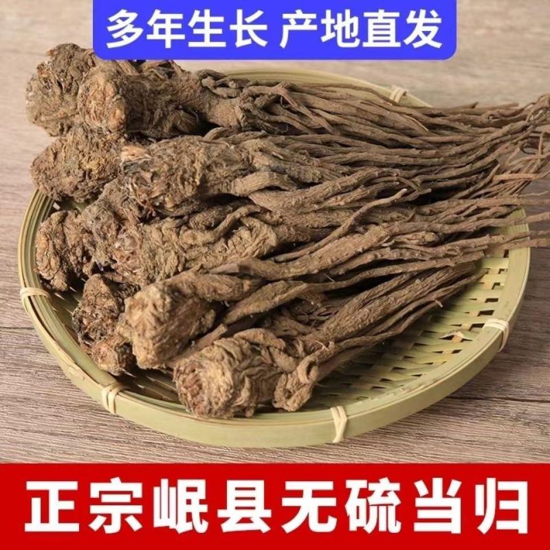 【甘肃岷县发】手选岷当归头片道地药材岷当归多规格可选包邮