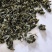 绞股蓝绞股蓝茶祥泰药材栈中药材批发零售实物拍摄量多从