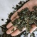 绞股蓝绞股蓝茶祥泰药材栈中药材批发零售实物拍摄量多从