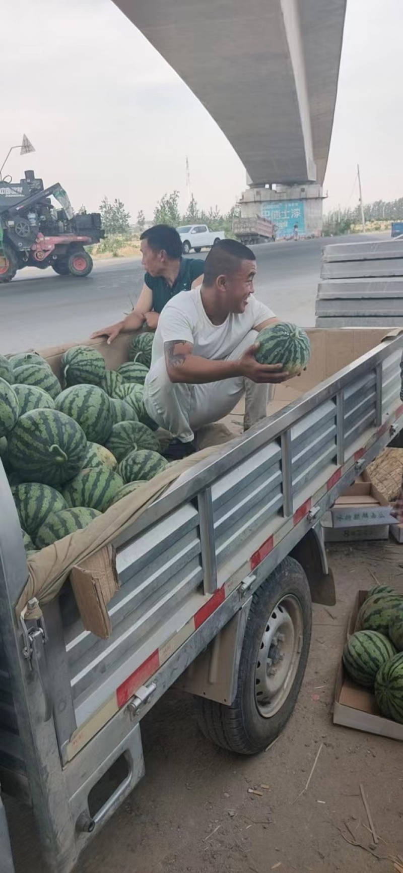 河南无籽美都西瓜产地直发一手货源接各大平台代收代发
