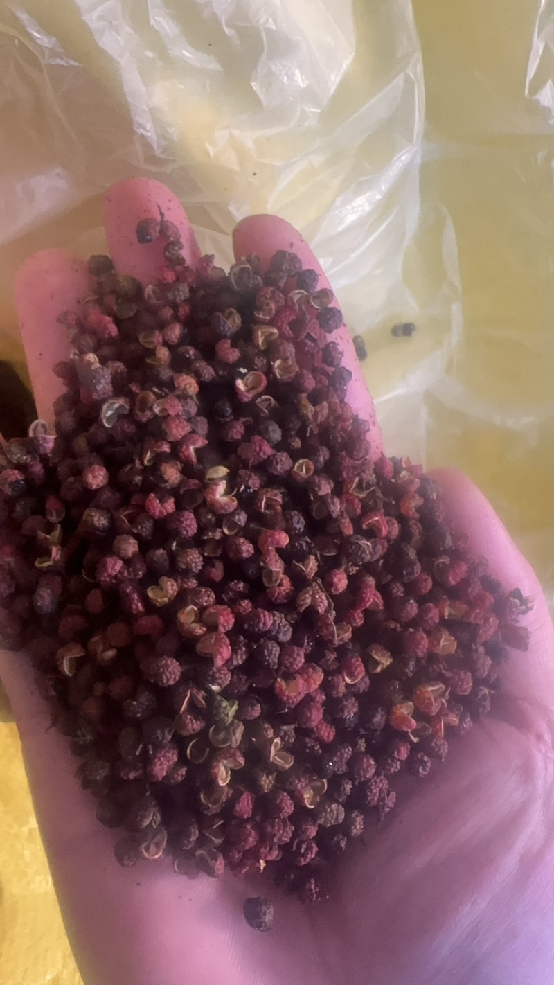 鲜干花椒、青麻椒产地直发欢迎咨询清花椒、鲜花椒