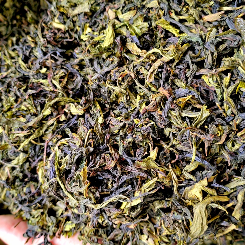 高山茶潮汕浓香型惠来土山茶福建香茶清香型新茶茶叶散装清茶