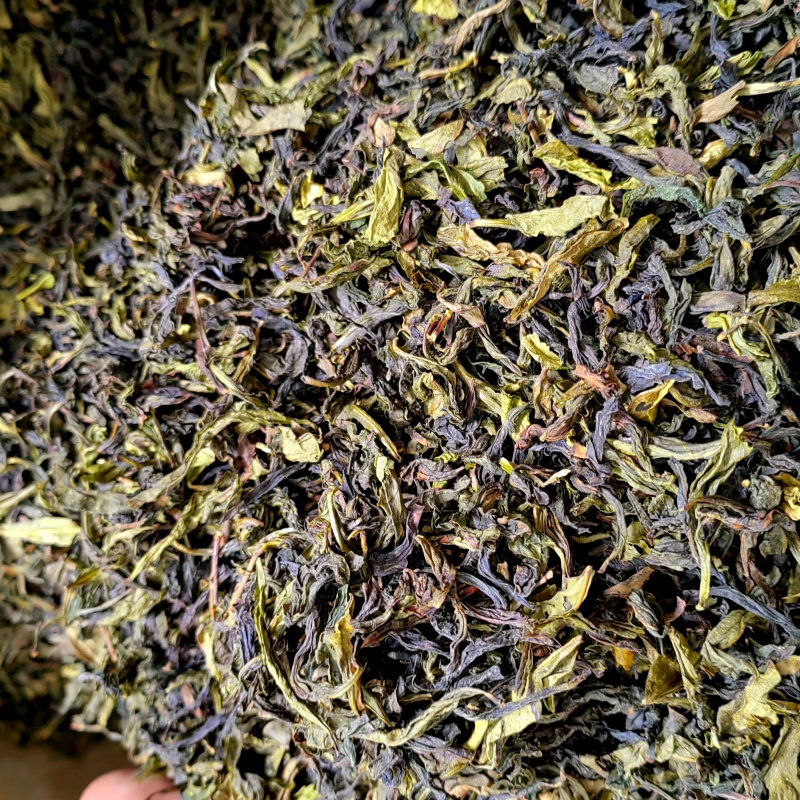 高山茶潮汕浓香型惠来土山茶福建香茶清香型新茶茶叶散装清茶
