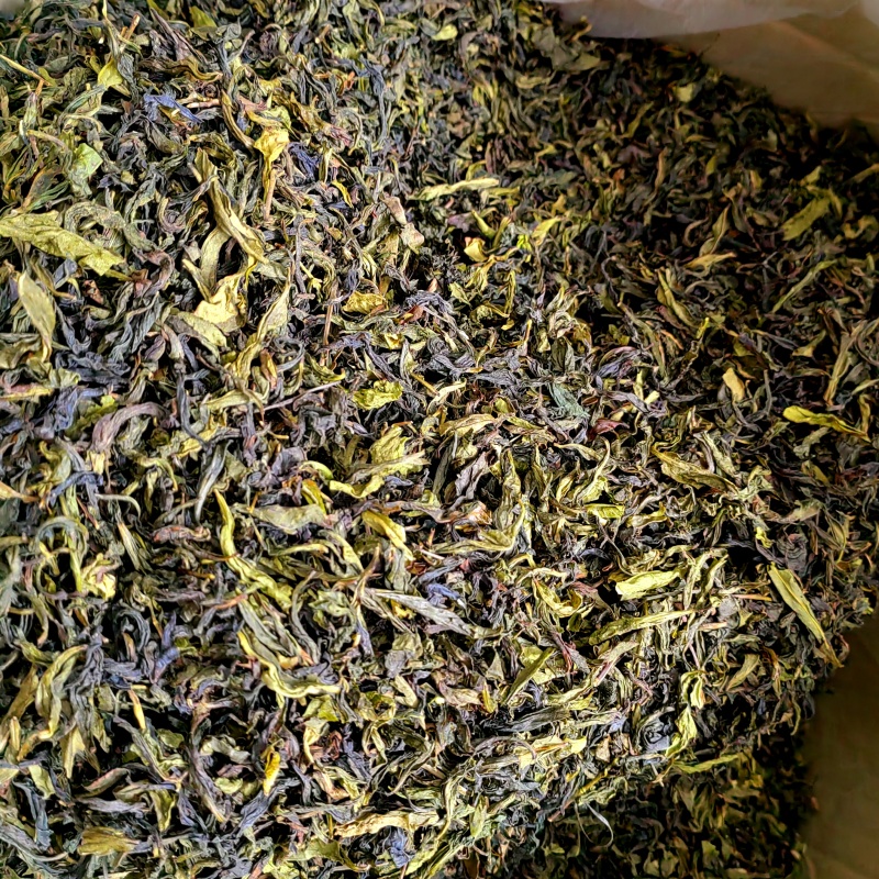 高山茶潮汕浓香型惠来土山茶福建香茶清香型新茶茶叶散装清茶