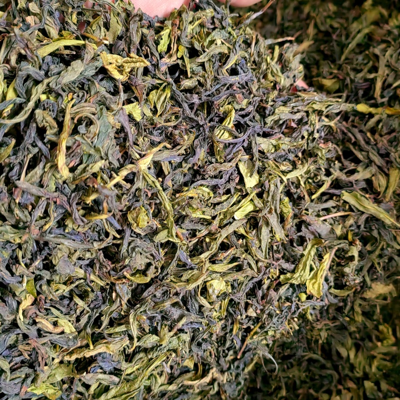 高山茶潮汕浓香型惠来土山茶福建香茶清香型新茶茶叶散装清茶