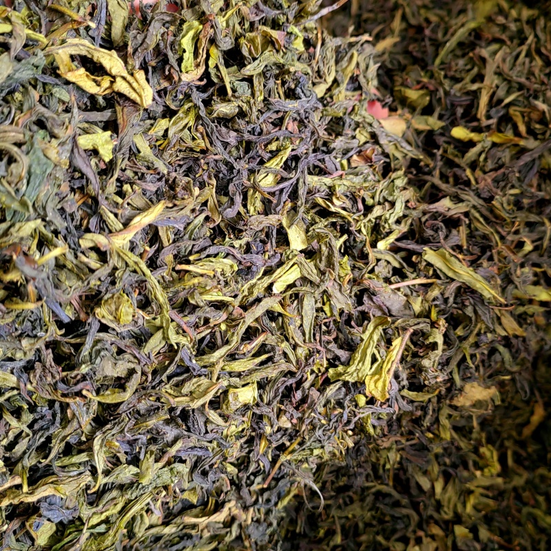 高山茶潮汕浓香型惠来土山茶福建香茶清香型新茶茶叶散装清茶