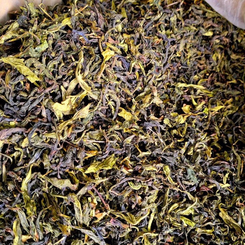 高山茶潮汕浓香型惠来土山茶福建香茶清香型新茶茶叶散装清茶