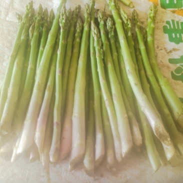 鲜芦笋出售，欢迎新老顾客回购