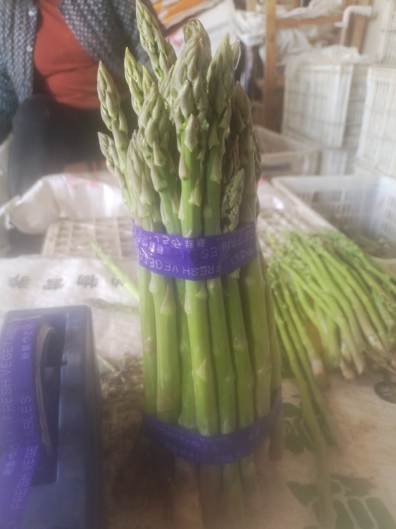 鲜芦笋出售，欢迎新老顾客回购