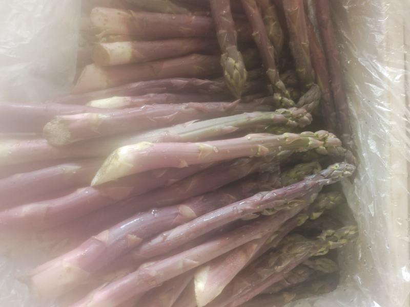 鲜芦笋出售，欢迎新老顾客回购
