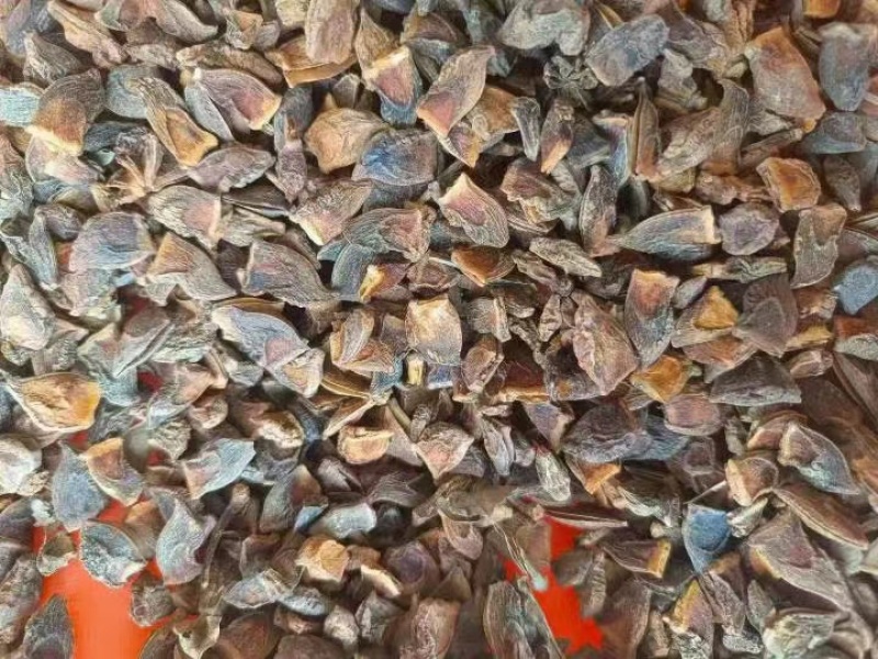 广西八角大红八角质量保证品种纯正假一赔十