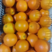 橙子伦晚脐橙秭归脐橙大量上市口感纯甜对接商超市场
