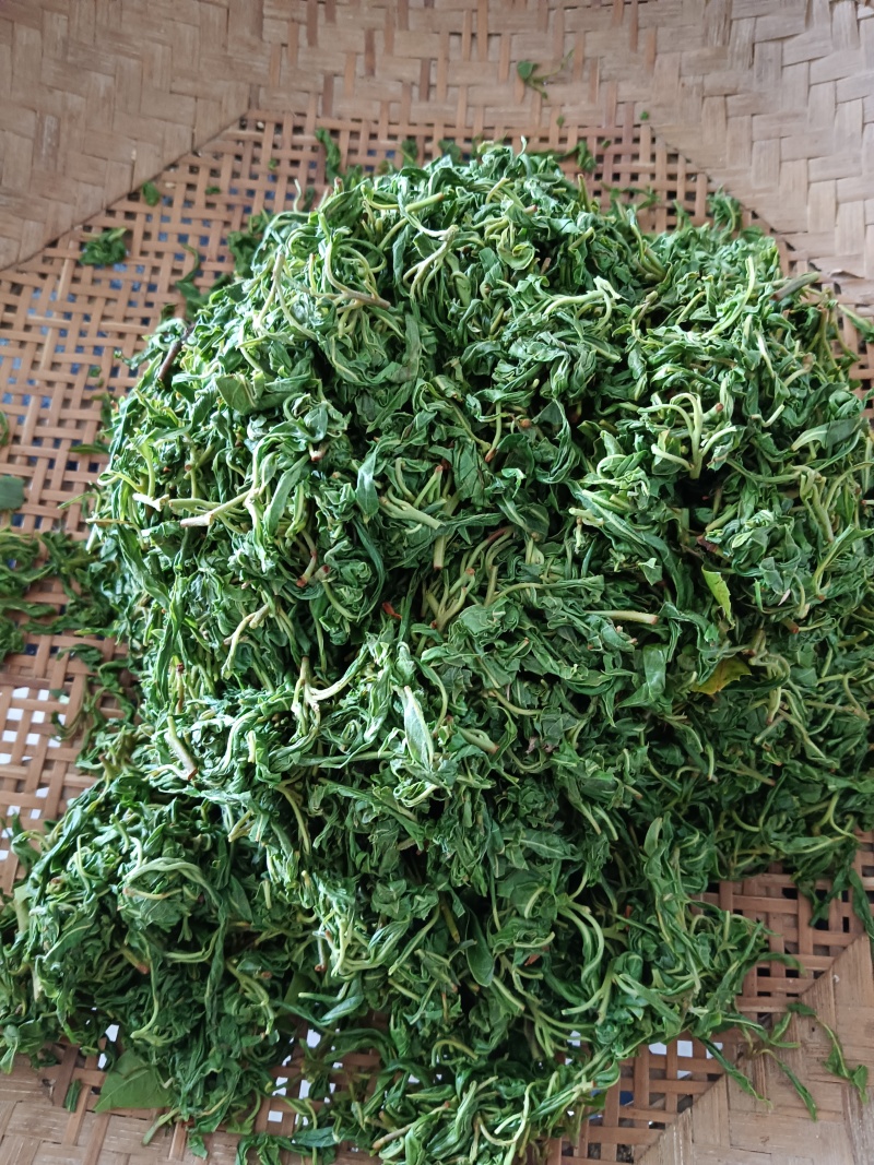 老鹰茶