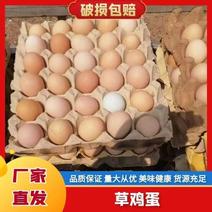山东沂蒙山草鸡蛋，山林散养草鸡，草鸡蛋量大价优电联