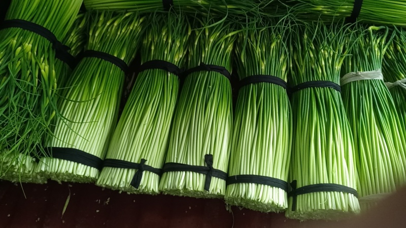 蒜薹蒜苔大蒜蒜苔优质产品量大产地直供白帽蒜苔大量供应