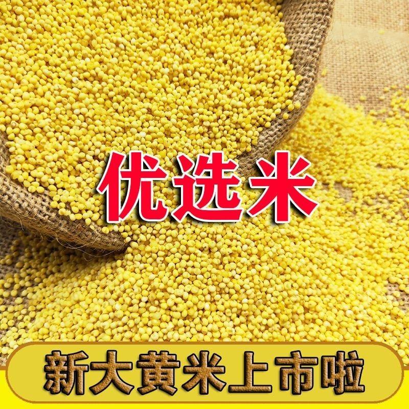 农户自家种植现磨的优质大黄米！长期稳定大量供货！支持定制